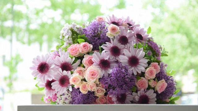 8. Marec – Dan Žena